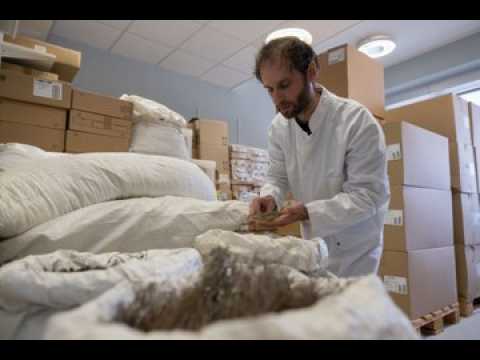 Les laboratoires Phytodia fêtent leurs 15 ans.