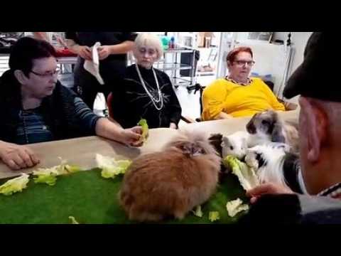 Niderviller (57) : la médiation animale pour le bien-être des personnes âgées