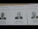 Polling stations open in Algeria's presidential elections
