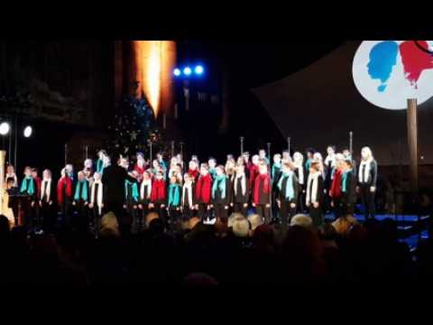 Cérémonie d'hommage et de recueillement en mémoire des victimes de l'attentat du 11 décembre 2018 à Strasbourg
