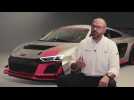2020 Audi R8 LMS GT4 - Interview with Chris Reinke, Head of Audi Sport customer racing