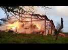 Bining : un important feu de hangar, une quinzaine de bovins périssent