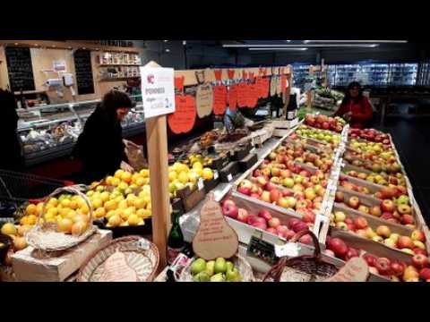 50 ans de bio à la ferme Horrenberger