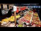 50 ans de bio à la ferme Horrenberger