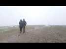 Hohneck : Tourisme sous le vent