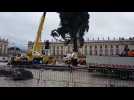 Arrivée du sapin de Noël place Stanislas : de la précision pour tout mettre en place