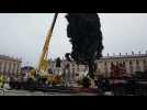 Le sapin de Noêl de la place Stanislas à Nancy arrive