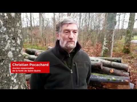 La tempête était aussi dans la tête des forestiers