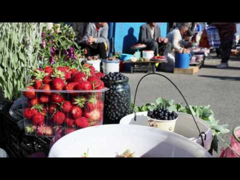 Accueillir un enfant de Tchernobyl