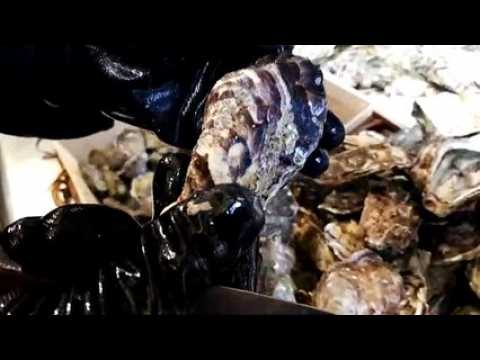 Nancy : comment ouvrir parfaitement un huitre en une seule leçon