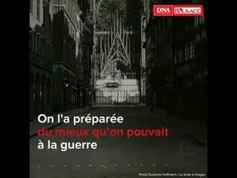 La cathédrale Notre-Dame de Strasbourg, son étonnante histoire pendant la Deuxième Guerre mondiale
