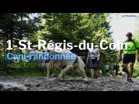 Vos 8 bons plans loisirs du 28 et 29 décembre dans la Loire et Haute-Loire
