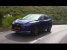 2020 Lexus RX 300 F Sport Blue Trailer