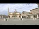 St Peter's Basilica reopens to the public