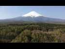 Mount Fuji to be closed in the summer due to pandemic