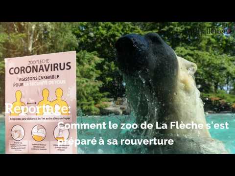 Reportage: comment le zoo de La Flèche s'est préparé pour sa rouverture 