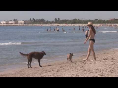 Valencia residents, dogs enjoy beach on first day of phase 3 of de-escalation