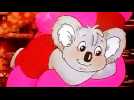 Blinky Bill, le koala malicieux - Bande annonce 1 - VO - (1992)