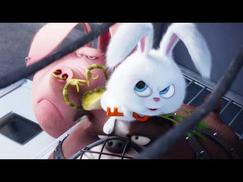 Comme des bêtes - Extrait 8 - VO - (2016)