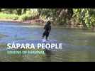 Sápara indigenous people: visions of survival