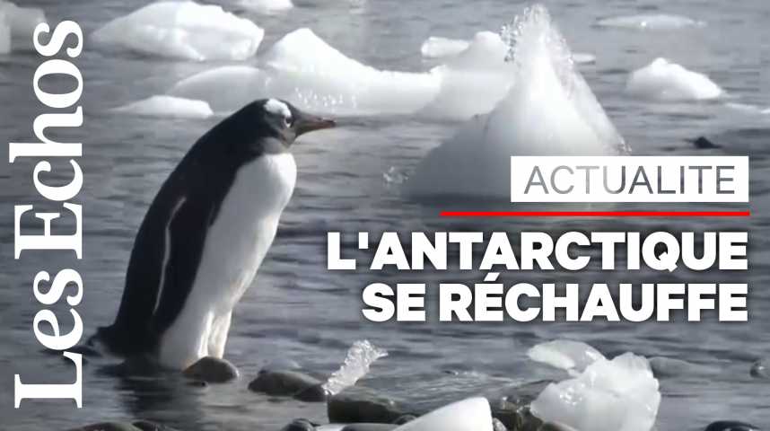 Illustration pour la vidéo L’Antarctique se réchauffe 3 fois plus vite que le reste du monde