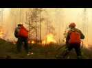 Forest fires burn out of control in Russia's Arctic region