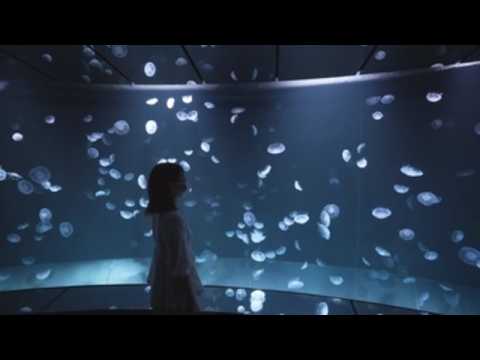Tokyo aquarium unveils 14-meter-wide jellyfish tank