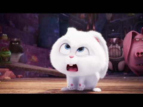 Comme des bêtes - Extrait 4 - VO - (2016)