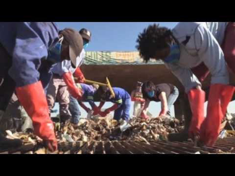 NGO cleans Hennops River in South Africa