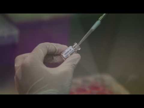 Thai researchers begin testing COVID-19 vaccine on monkeys