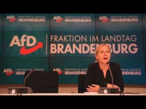 AfD holds press conference in Potsdam