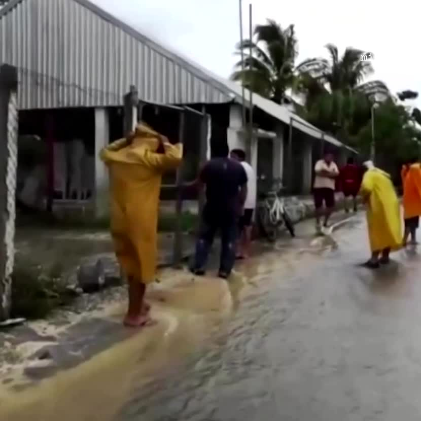Etats-Unis : La tempête tropicale Cristobal s'est abattue sur la Louisiane
