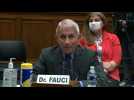 Fauci testifies Trump never told him to slow COVID-19 testing