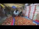 Farmers rejoice strawberry boom as harvest season begins in Indian Kashmir
