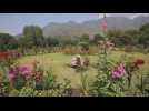Parks and gardens in Kashmir reopen after Covid-19 pandemic