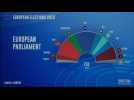 First projection of the composition of the EU Parliament - Label : AFPTV - First images - Category : News