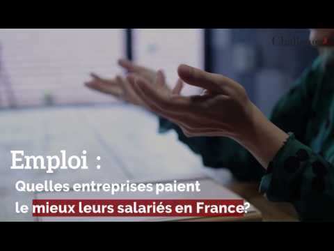 Emploi : Quelles entreprises paient le mieux leurs salariés en France ?