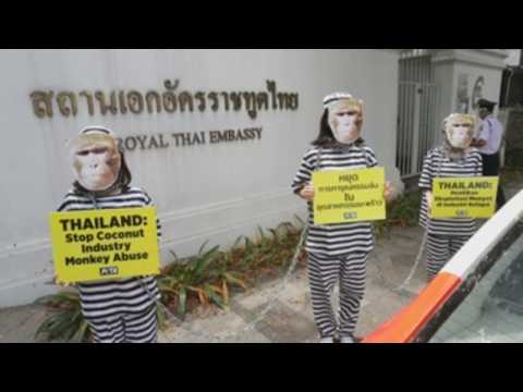 Activists protest against exploitation of monkey labor outside Thai embassy in Jakarta