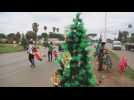 Vendors cash in on Christmas trees and dolls in Harare