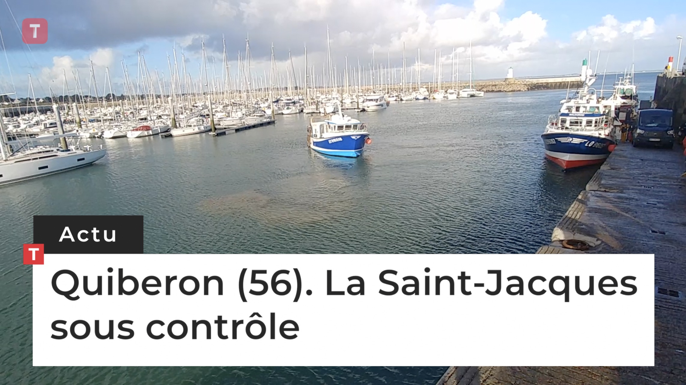 Quiberon (56). La Saint-Jacques sous contrôle (Le Télégramme)