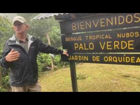 Palo Verde Cloud Forest, a corner full of biodiversity in Costa Rica