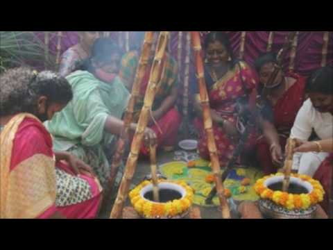 Bangalore celebrates Pongal festival, asks for abundant harvest