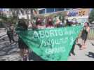 Chile Congress begins abortion discussion with an eye on Argentina's success  (V)