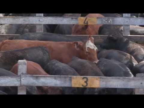 Beef consumption in Argentina sees biggest drop in decades