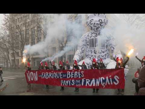 Demo in Paris against "creation of babies" for same-sex couples