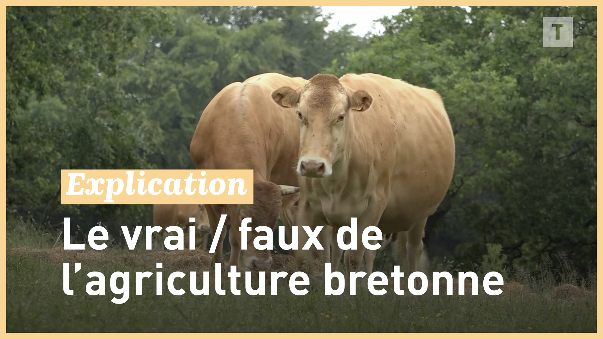 Le vrai faux de l'agriculture bretonne (Le Télégramme)
