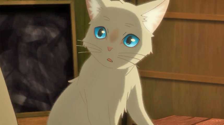 Loin De Moi Près De Toi Masque Chat Loin de moi, près de toi - Bande annonce 1 - VO - (2020)