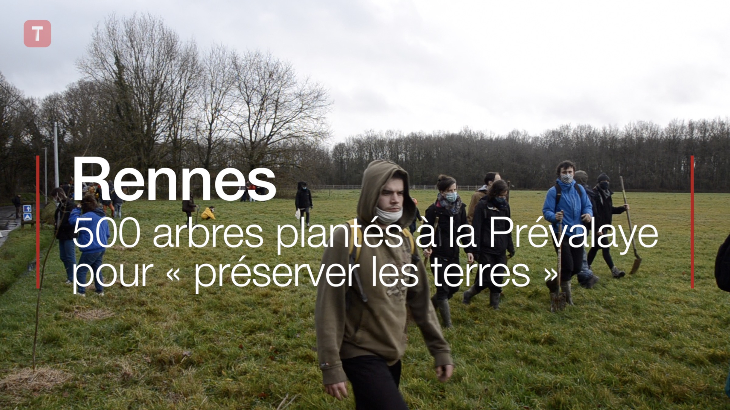 Rennes, 500 arbres plantés à la Prévalaye pour « préserver les terres » (Le Télégramme)