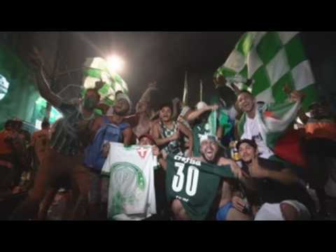 Palmeiras beat Santos to clinch Copa Libertadores title