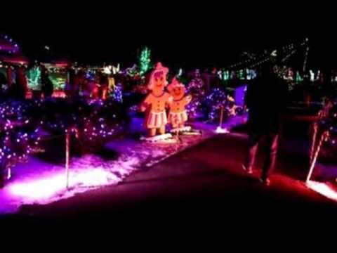 Massachusetts Zoo hosts 'ZooLights' Christmas light show